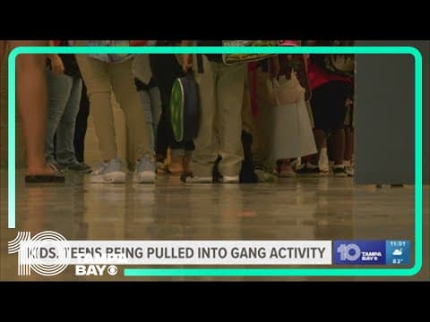 Youth gang violence on the rise, Tampa Bay law enforcement officials say