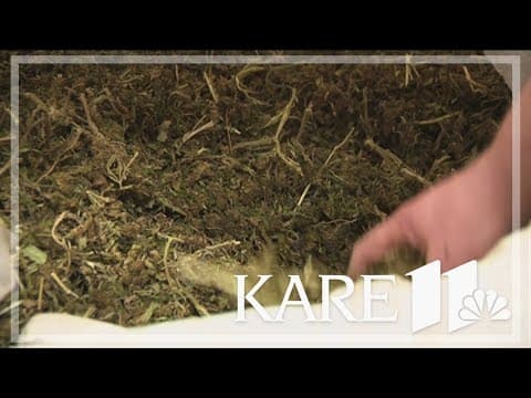 MN Cannabis Advisory Council holds first meeting