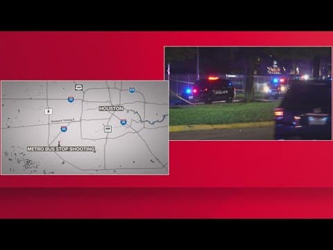 Man shot while waiting at bus stop near West Bellfort, suspect at large