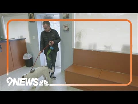 Is pet insurance a good investment?