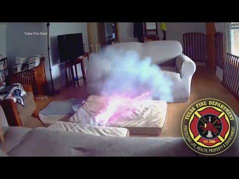 WATCH | Dog chews on lithium battery sparking house fire