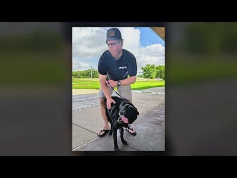 A Vietnam veteran in North Texas passed away, then his mailman adopted his dog