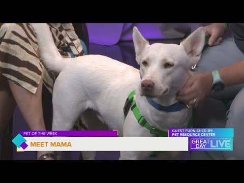 Pet of the Week: Meet Mama