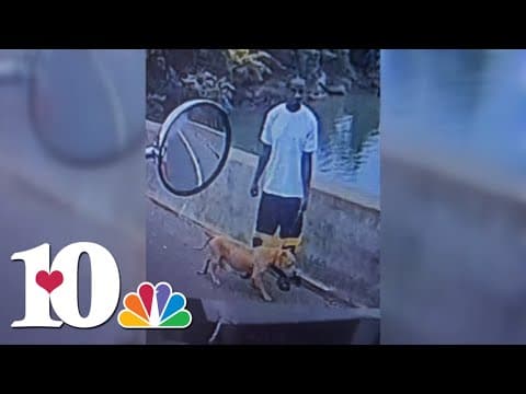 KCSO investigating after dog thrown off bridge. Here's what we know