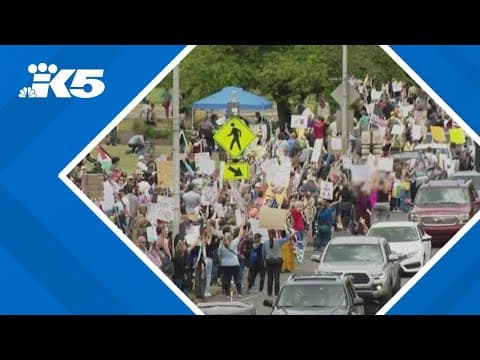Thousands rally at state Capitol, send ‘No Kings’ message to D.C.