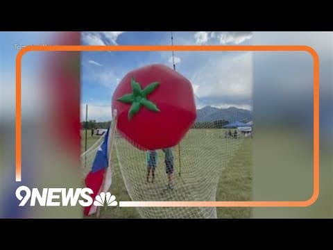 The Great Tomato War is back in Poncha Springs