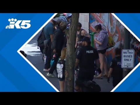 New audit shows where drug overdoses, crime are the worst in Seattle