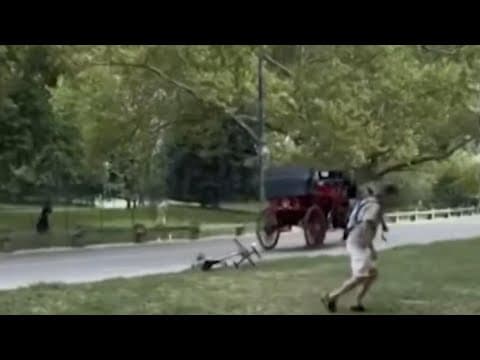 Runaway horse in Central Park was spooked by loud noise