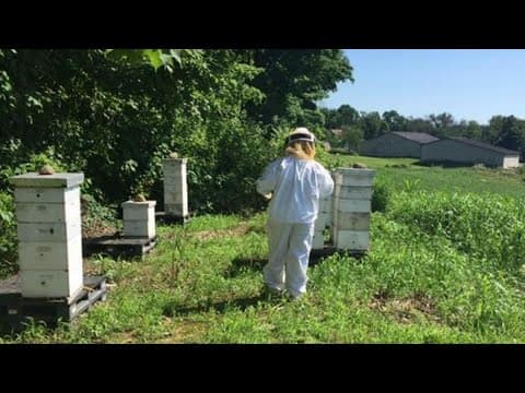 Owner of honey farm in East Palestine worried about future sales