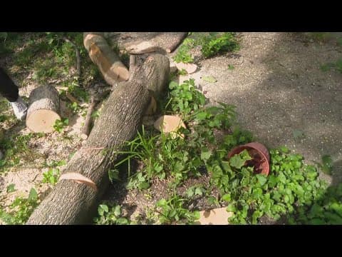 Thousands of Hoosiers remain without power as heat wave approaches