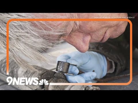 Fossil found under Denver museum