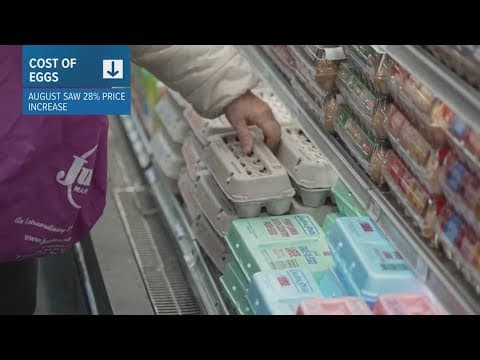 Egg prices rose 28% in August from this time last year