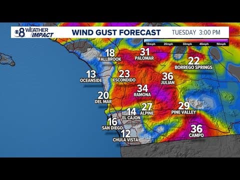 Red Flag Warning now in effect as gusty winds and low humidity increases fire risk