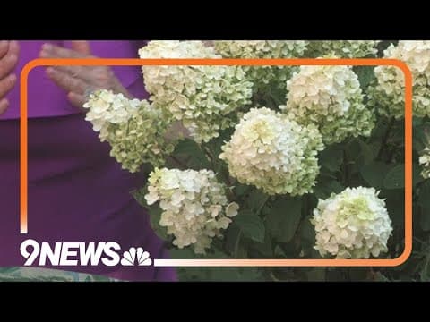 Late summer gardening tips for Colorado residents