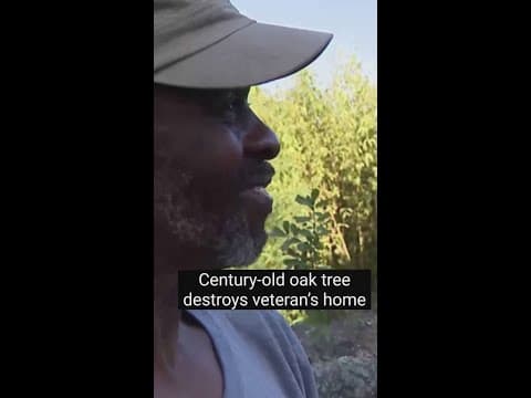 Century-old oak tree destroys U.S. Army veteran’s home.