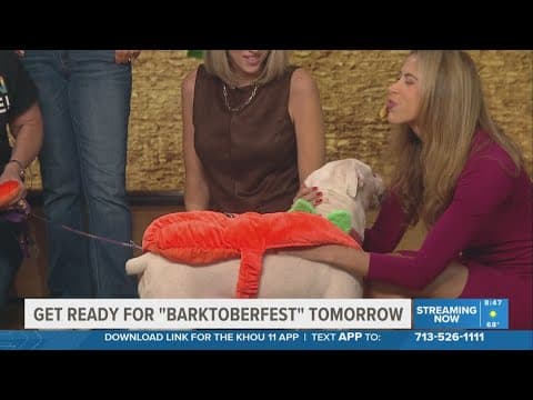 Barktoberfest returns to Houston with fun for pets and their people