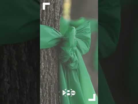 It's been a tragic week for Texans, with the state confirming more than 100 deaths from the flood.