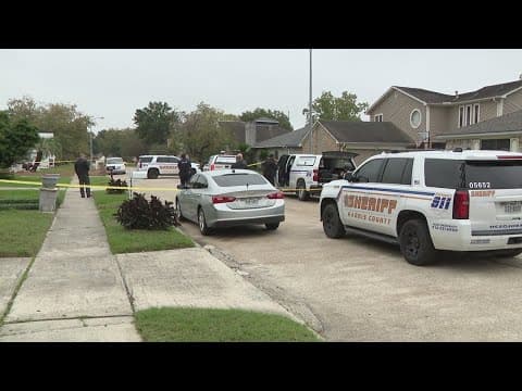 Man shoots, kills aunt, older family member, sexually assaults younger family member: HCSO