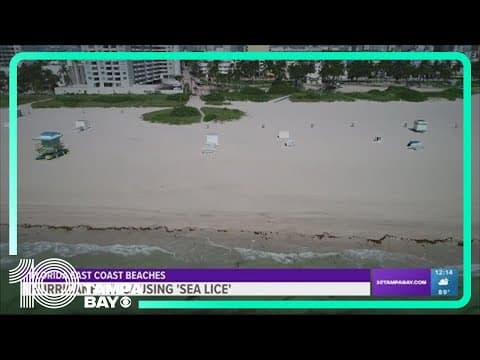 'Sea lice' stirs up on Florida beaches as Hurricane Lee passes by