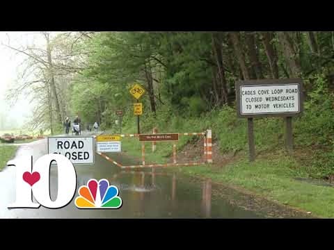 GSMNP: Most park roadways closed for storm clean-up after strong winds brought down trees