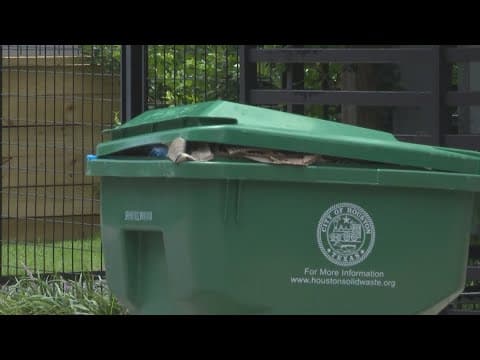 Montrose waits weeks for recycling amid city delays