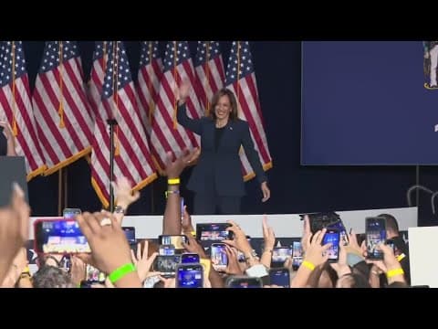 Ohio delegates to the Democratic National Convention throw support behind VP Kamala Harris