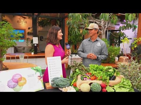 Coastal Roots Farm | Nourishing Community