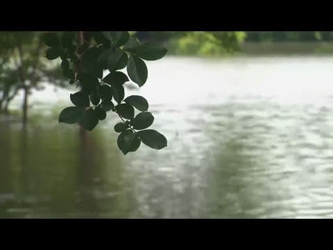 Watch Live: Harris County officials to give update on flooding impact and resources