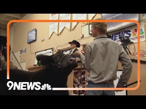 National Western Stock Show ends with top 10 attendance