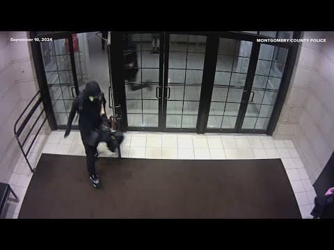 VIDEO: 20+ suspects wanted for burglarizing Saks Fifth Avenue in Chevy Chase, 2 arrested