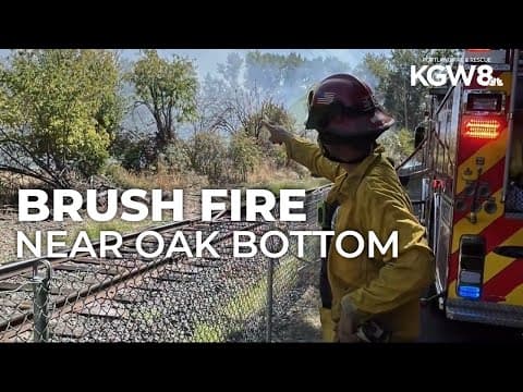 Firefighters respond to brush fire near Sellwood’s Oaks Bottom; flames slow-moving