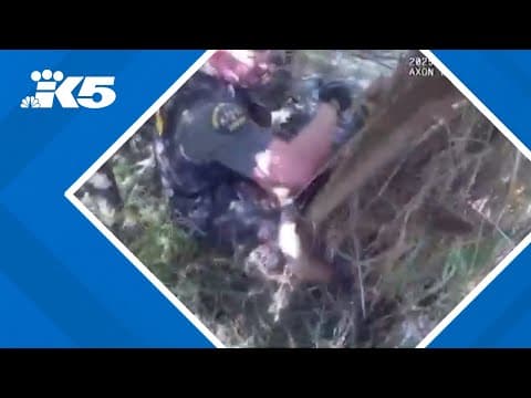 Assault suspects arrested in swamp