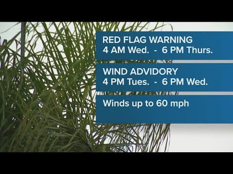 SDG&E power shutoffs possible after Red Flag Warning issued for San Diego communities