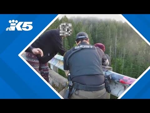 Mason County deputies credited with preventing fugitive’s suicide