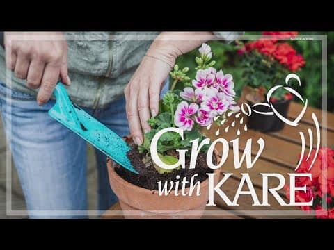 Grow with KARE: Vertical gardening