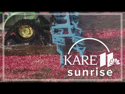 Fifth-generation farmer carries on cranberry tradition in Wisconsin
