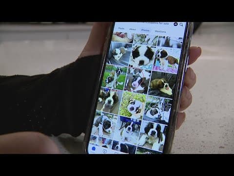 Fort Bend County woman scammed out of hundreds of dollars trying to buy her son a puppy