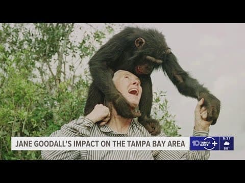 Remembering Jane Goodall: The world-renowned conservationist's impact in Tampa