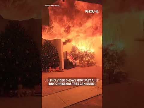 Watch how fast a dry Christmas tree can burn down a home #sshorts