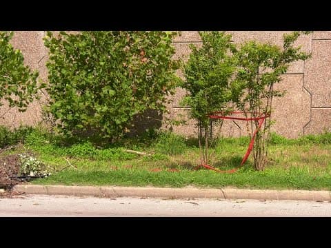 HCSO update: Deputies find man shot to death in car crashed on Eastex Freeway