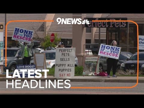Extended headlines | Protesters call for end to use of puppy mills