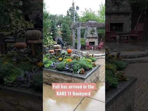 Fall has arrived in the #KARE11Backyard 🎃🍂