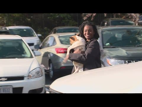 French bulldog taken by armed man in DC reunited with owner, told to pay $900 to get him back