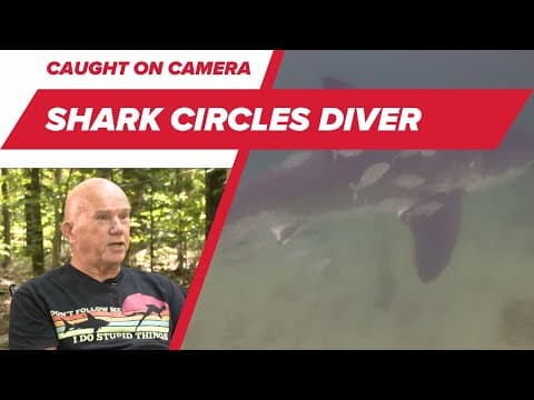 ON CAM: Scary Shark Moment on Vacation Dive