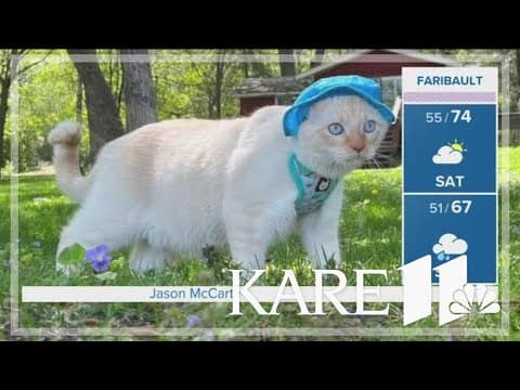 First Cabin Cast of 2024