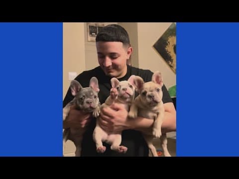 YouTube thumbnail for video CxA5qQer64I