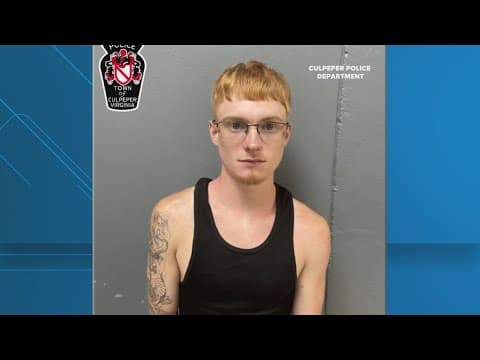 Man accused of driving through No Kings protest crowd appears in court