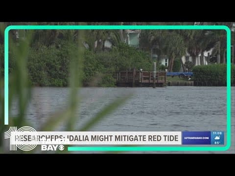 Researchers: Idalia might mitigate red tide