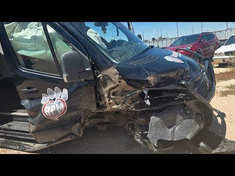 Houston animal rescue seeking help to replace one of its vans totaled during accident