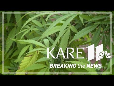 Breakdown of Minnesota's new cannabis law